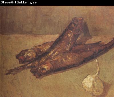 Vincent Van Gogh Still Life with Bloaters and Garlic (nn04)